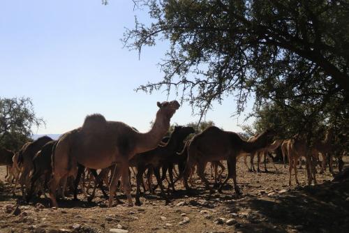 G_Zon, Zee en Bergen 1