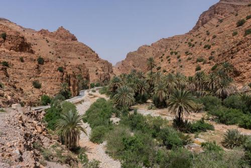 G_Zon, Zee en Bergen 5