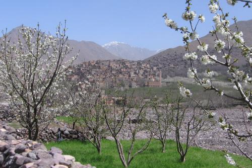 G_beklimming Toubkal 7