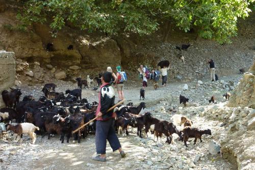 G_wandelen in de bergen en Marrakech4